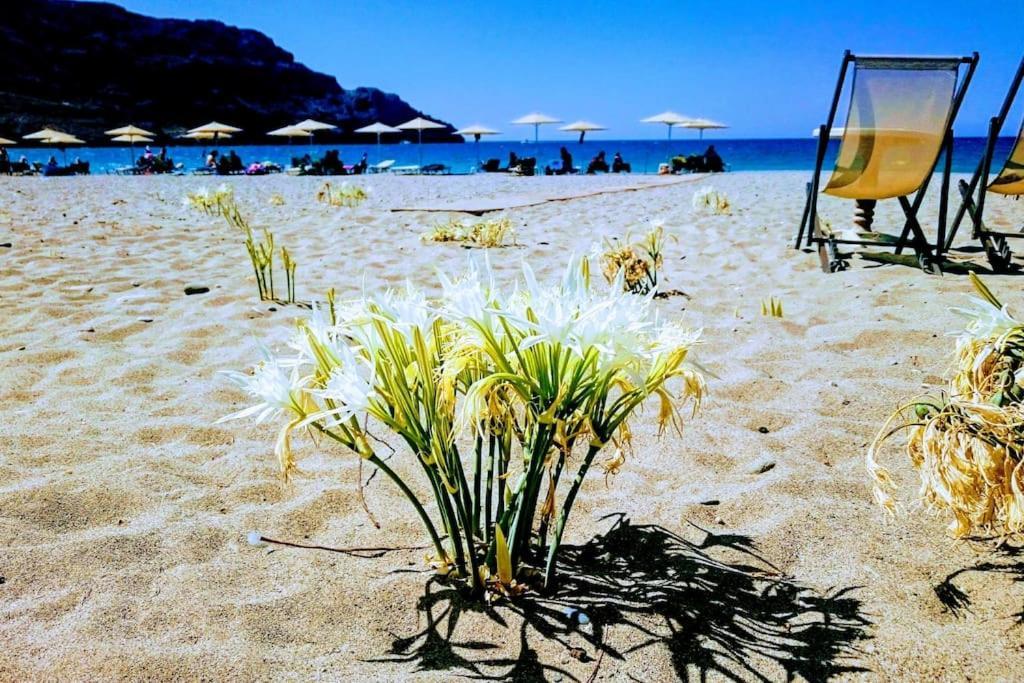 公寓 Annamaria Sea Side View Studio- 25m From The Beac Plakiás