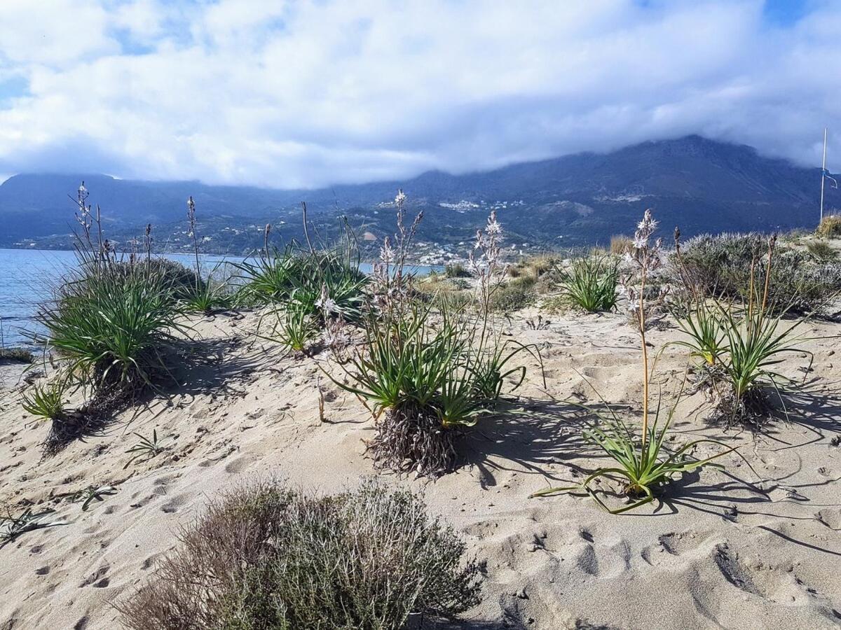 公寓 Annamaria Sea Side View Studio- 25m From The Beac *